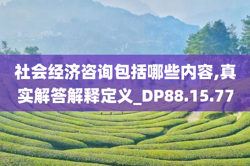 社会经济咨询包括哪些内容,真实解答解释定义_DP88.15.77