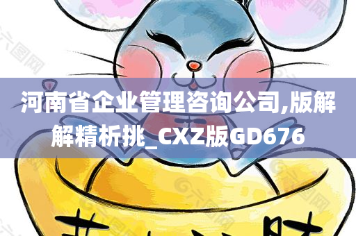 河南省企业管理咨询公司,版解解精析挑_CXZ版GD676