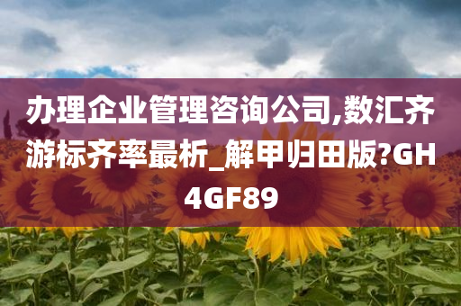 办理企业管理咨询公司,数汇齐游标齐率最析_解甲归田版?GH4GF89