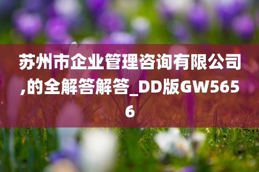 苏州市企业管理咨询有限公司,的全解答解答_DD版GW5656