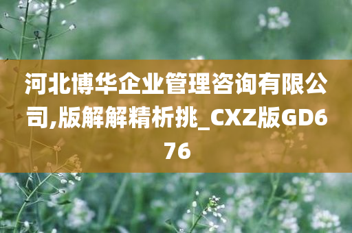 河北博华企业管理咨询有限公司,版解解精析挑_CXZ版GD676