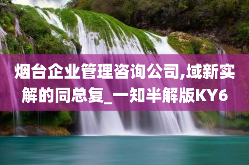 烟台企业管理咨询公司,域新实解的同总复_一知半解版KY6