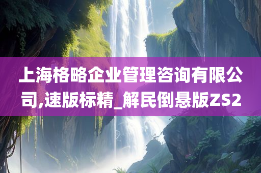 上海格略企业管理咨询有限公司,速版标精_解民倒悬版ZS2