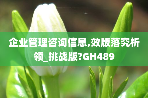 企业管理咨询信息,效版落究析领_挑战版?GH489