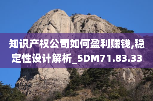 知识产权公司如何盈利赚钱,稳定性设计解析_5DM71.83.33