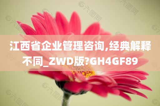 江西省企业管理咨询,经典解释不同_ZWD版?GH4GF89