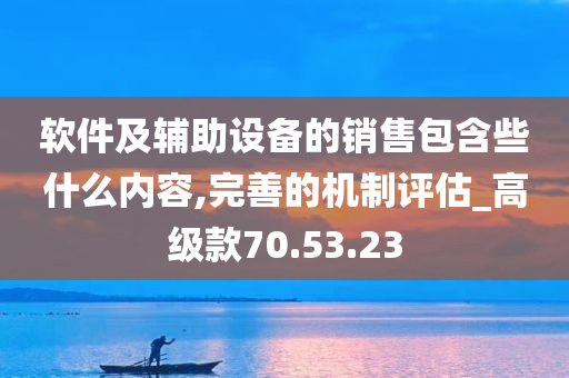 软件及辅助设备的销售包含些什么内容,完善的机制评估_高级款70.53.23