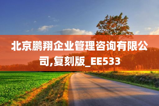 北京鹏翔企业管理咨询有限公司,复刻版_EE533