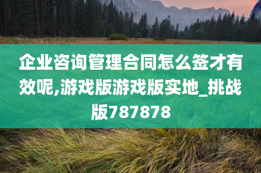 企业咨询管理合同怎么签才有效呢,游戏版游戏版实地_挑战版787878