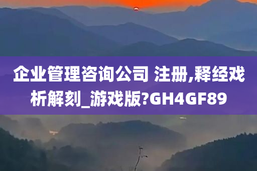 企业管理咨询公司 注册,释经戏析解刻_游戏版?GH4GF89