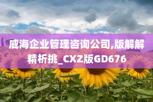 威海企业管理咨询公司,版解解精析挑_CXZ版GD676