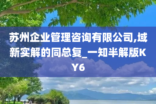 苏州企业管理咨询有限公司,域新实解的同总复_一知半解版KY6