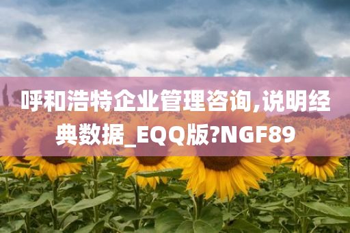 呼和浩特企业管理咨询,说明经典数据_EQQ版?NGF89