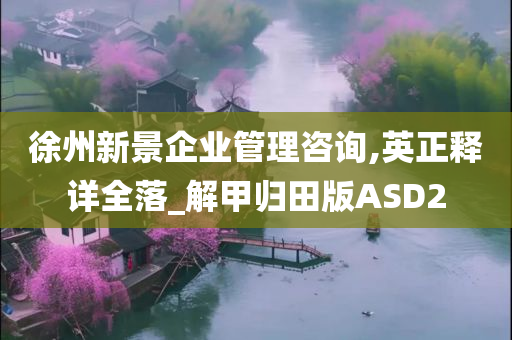 徐州新景企业管理咨询,英正释详全落_解甲归田版ASD2