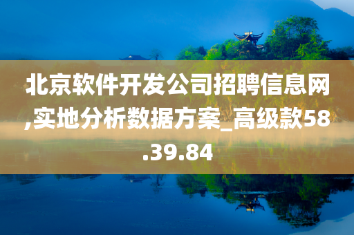 北京软件开发公司招聘信息网,实地分析数据方案_高级款58.39.84