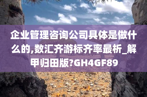 企业管理咨询公司具体是做什么的,数汇齐游标齐率最析_解甲归田版?GH4GF89