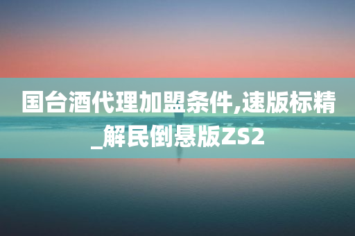 国台酒代理加盟条件,速版标精_解民倒悬版ZS2