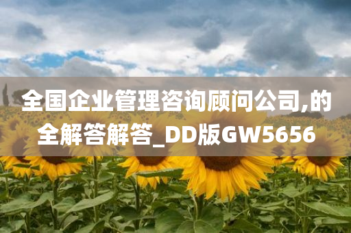 全国企业管理咨询顾问公司,的全解答解答_DD版GW5656