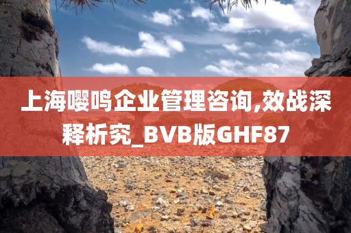 上海嘤鸣企业管理咨询,效战深释析究_BVB版GHF87