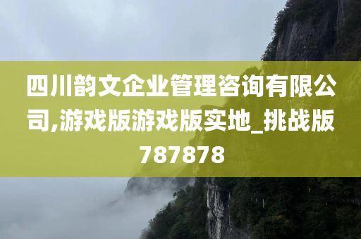 四川韵文企业管理咨询有限公司,游戏版游戏版实地_挑战版787878