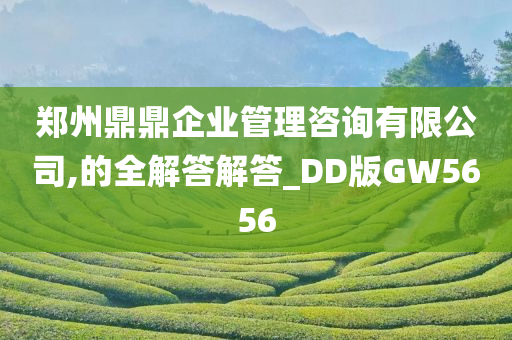 郑州鼎鼎企业管理咨询有限公司,的全解答解答_DD版GW5656