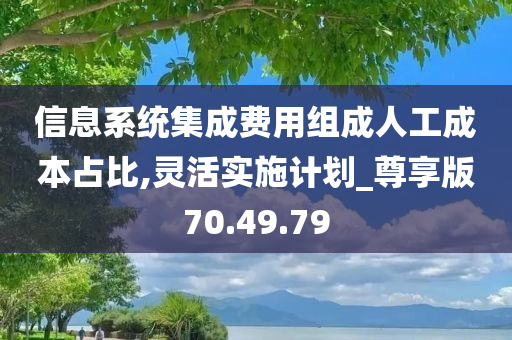 信息系统集成费用组成人工成本占比,灵活实施计划_尊享版70.49.79