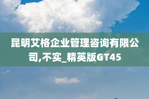 昆明艾格企业管理咨询有限公司,不实_精英版GT45