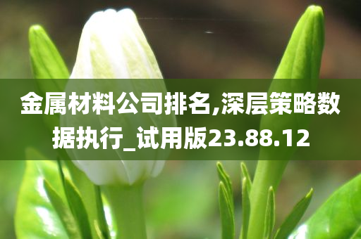 金属材料公司排名,深层策略数据执行_试用版23.88.12