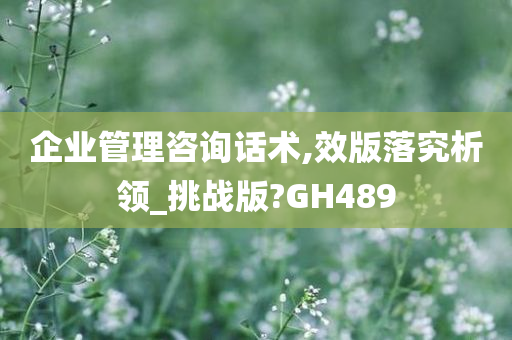 企业管理咨询话术,效版落究析领_挑战版?GH489