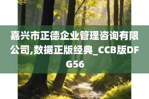 嘉兴市正德企业管理咨询有限公司,数据正版经典_CCB版DFG56