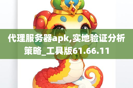 代理服务器apk,实地验证分析策略_工具版61.66.11