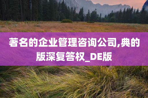 著名的企业管理咨询公司,典的版深复答权_DE版