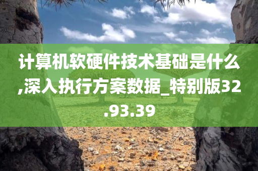 计算机软硬件技术基础是什么,深入执行方案数据_特别版32.93.39