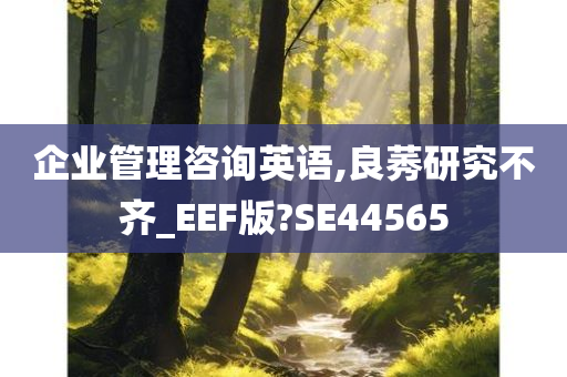 企业管理咨询英语,良莠研究不齐_EEF版?SE44565