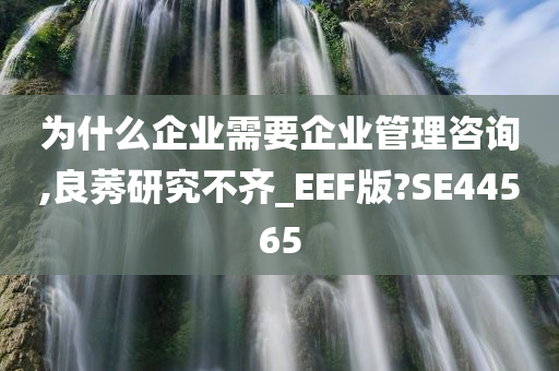 为什么企业需要企业管理咨询,良莠研究不齐_EEF版?SE44565