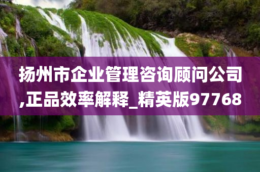 扬州市企业管理咨询顾问公司,正品效率解释_精英版97768