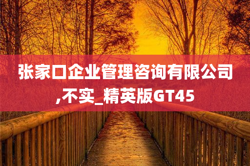 张家口企业管理咨询有限公司,不实_精英版GT45