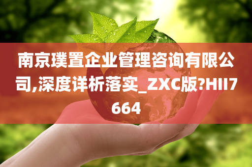 南京璞置企业管理咨询有限公司,深度详析落实_ZXC版?HII7664