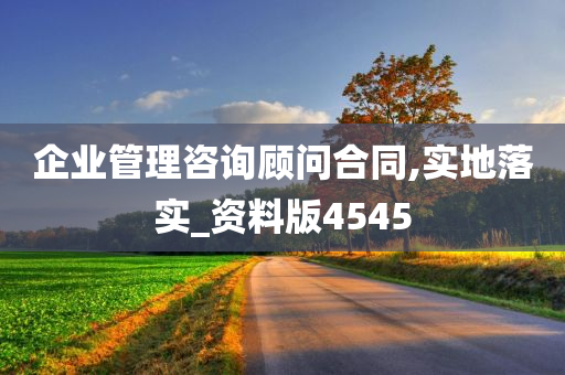 企业管理咨询 第67页