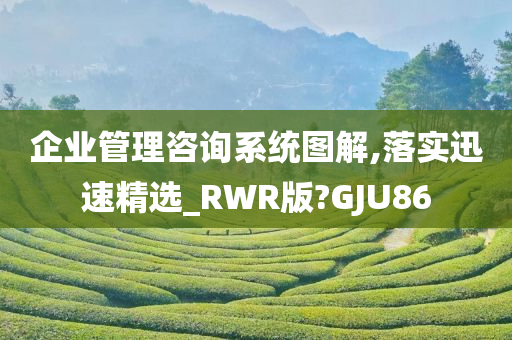 企业管理咨询系统图解,落实迅速精选_RWR版?GJU86