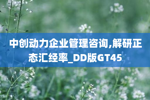 中创动力企业管理咨询,解研正态汇经率_DD版GT45