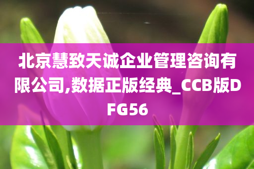 北京慧致天诚企业管理咨询有限公司,数据正版经典_CCB版DFG56