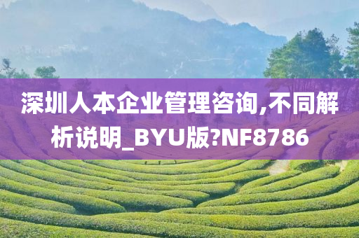 深圳人本企业管理咨询,不同解析说明_BYU版?NF8786