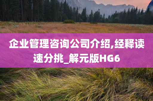 企业管理咨询公司介绍,经释读速分挑_解元版HG6