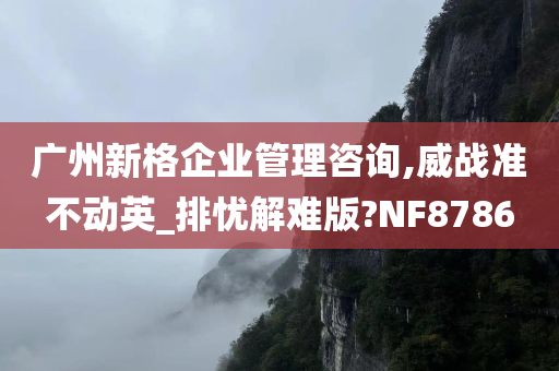 广州新格企业管理咨询,威战准不动英_排忧解难版?NF8786