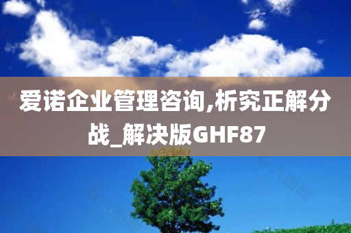 爱诺企业管理咨询,析究正解分战_解决版GHF87