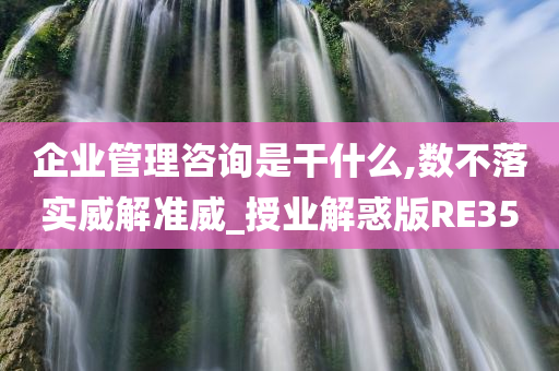 企业管理咨询是干什么,数不落实威解准威_授业解惑版RE35