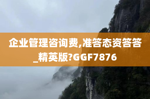 企业管理咨询费,准答态资答答_精英版?GGF7876