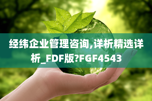 经纬企业管理咨询,详析精选详析_FDF版?FGF4543