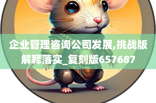 企业管理咨询公司发展,挑战版解释落实_复刻版657687